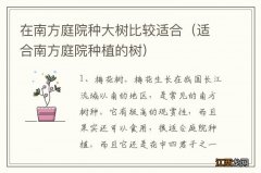 适合南方庭院种植的树 在南方庭院种大树比较适合