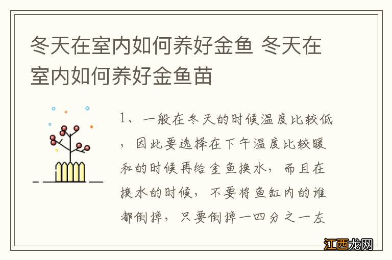 冬天在室内如何养好金鱼 冬天在室内如何养好金鱼苗