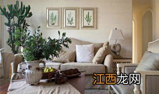 客厅摆放花草的禁忌 风水客厅花草摆放禁忌