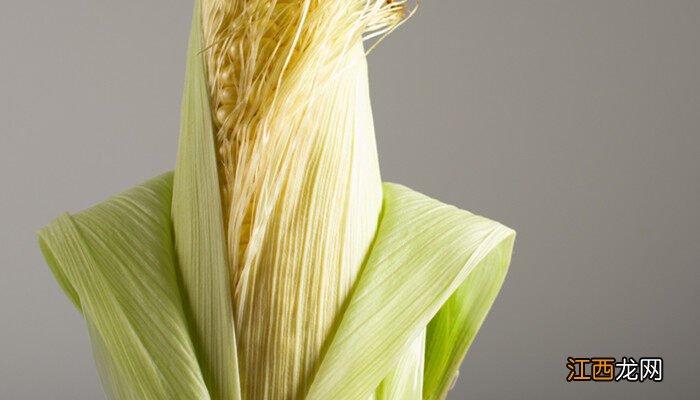 豫中禾968玉米种子 豫中禾968玉米品种介绍