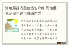 海龟蘑菇汤黑色钱包攻略 海龟蘑菇汤黑色钱包攻略原文