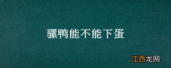 鸭下蛋需要公鸭吗 骡鸭能不能下蛋