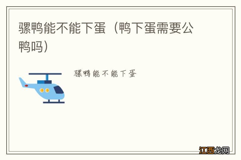 鸭下蛋需要公鸭吗 骡鸭能不能下蛋