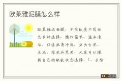 欧莱雅泥膜怎么样