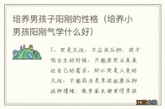 培养小男孩阳刚气学什么好 培养男孩子阳刚的性格