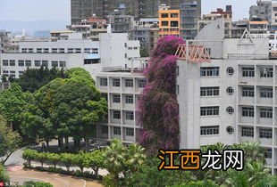 广西大学附近哪里好玩