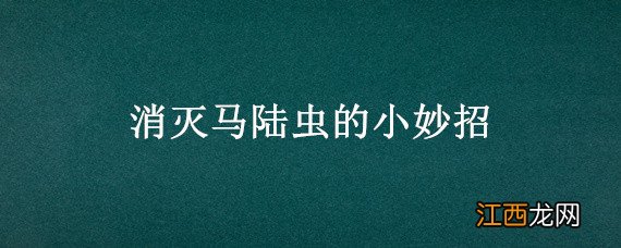 怎样消除马陆虫 消灭马陆虫的小妙招