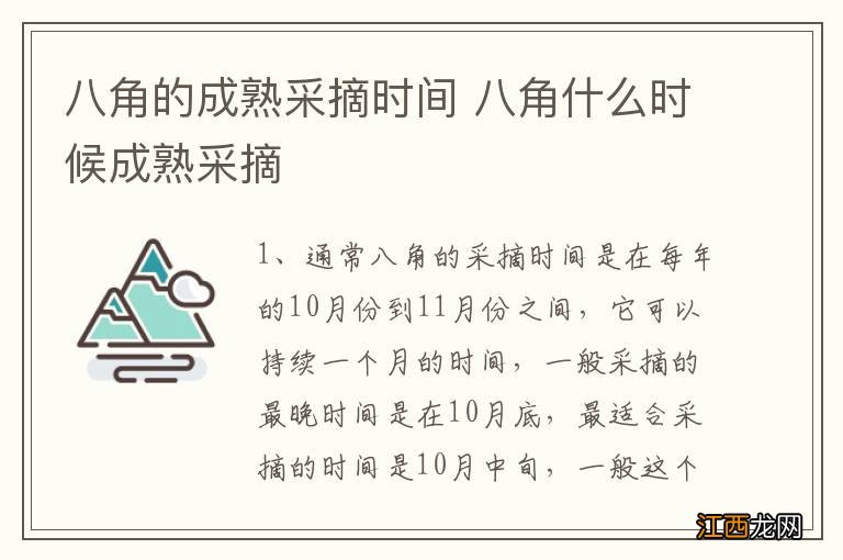 八角的成熟采摘时间 八角什么时候成熟采摘