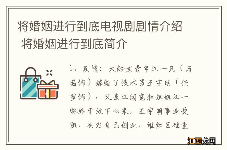 将婚姻进行到底电视剧剧情介绍 将婚姻进行到底简介