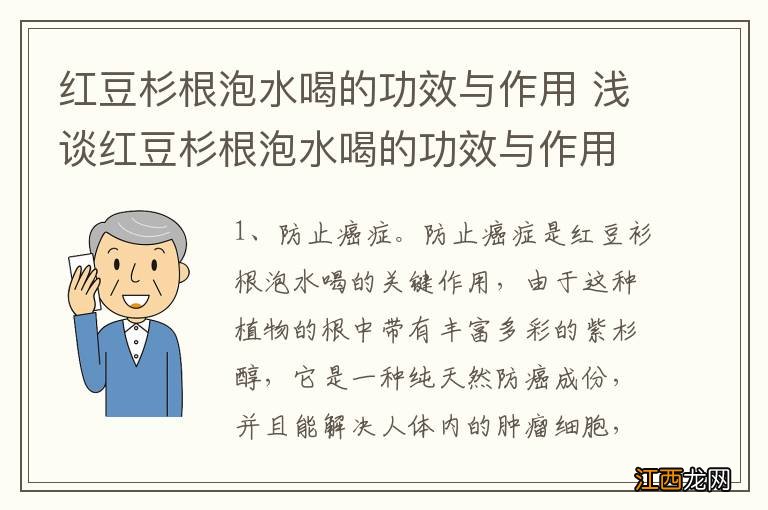 红豆杉根泡水喝的功效与作用 浅谈红豆杉根泡水喝的功效与作用