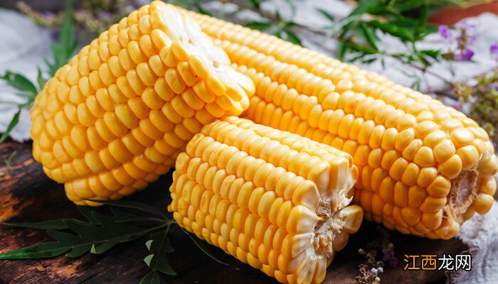 士惠628玉米种特征产量 士惠623玉米种子品种介绍