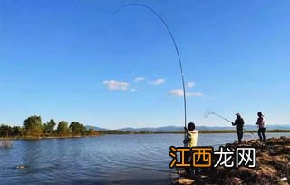 海杆钓鱼什么时机提杆最好