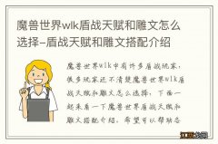 魔兽世界wlk盾战天赋和雕文怎么选择-盾战天赋和雕文搭配介绍