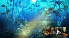 海底两万里主要讲述什么