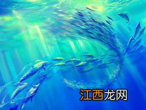 海底两万里主要讲述什么