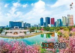 广西柳州是个什么样的城市