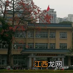 广州省立中山图书馆开放时间