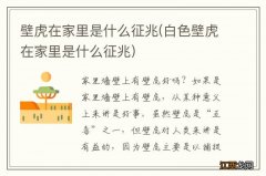 白色壁虎在家里是什么征兆 壁虎在家里是什么征兆