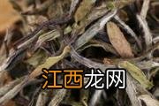 白茶保质期一般多久 白茶有点苦怎么回事