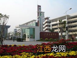 广州市越秀区有哪些学校呢