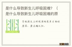 是什么导致新生儿呼吸困难的原因 是什么导致新生儿呼吸困难？