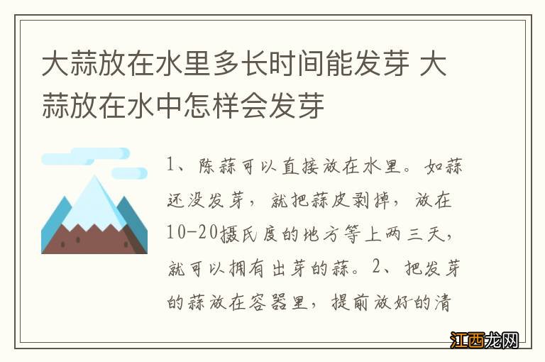 大蒜放在水里多长时间能发芽 大蒜放在水中怎样会发芽