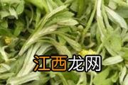 鱼胶和花胶有什么不同 花胶吃了会胖吗