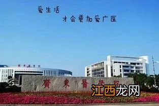 广西南宁医科大学的地址和邮编急