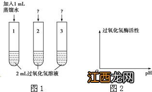 过氧化氢分解