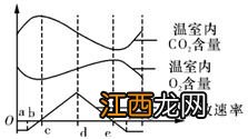 光合速率和呼吸速率有什么关系