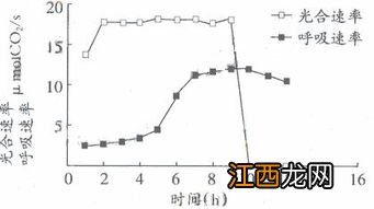 光合速率和呼吸速率有什么关系