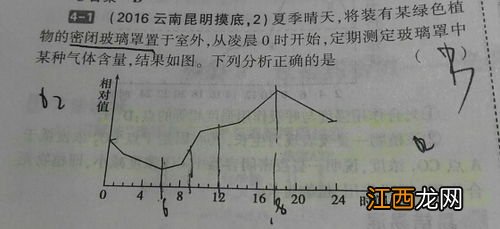 光合速率和呼吸速率有什么关系