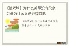 《镜双城》为什么苏摹没有父亲 苏摹为什么又是纯煌血脉