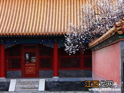 故宫著名景点推荐：绛雪轩、颐和轩、乐寿堂......