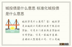 城投债是什么意思 标准化城投债是什么意思