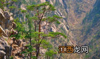 泰山有哪些著名景点 泰山有哪些著名景点图片