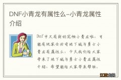 DNF小青龙有属性么-小青龙属性介绍