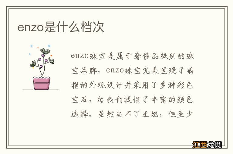 enzo是什么档次