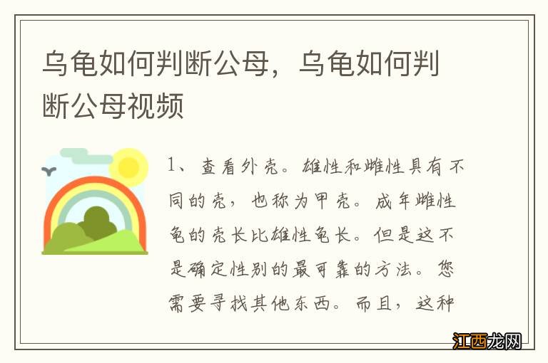 乌龟如何判断公母，乌龟如何判断公母视频