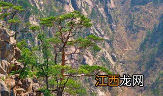 黄山著名景点有哪些按顺序 黄山著名景点有哪些