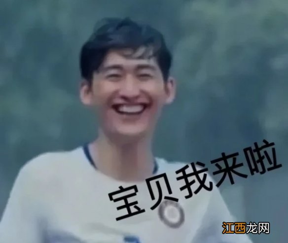 翰流是什么意思 张翰东八区的先生表情包