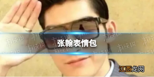 翰流是什么意思 张翰东八区的先生表情包