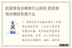 奶浆草泡水喝有什么好处 奶浆草泡水喝好处是什么