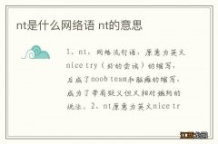 nt是什么网络语 nt的意思