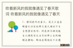 吹着新风的我就像遇见了春天歌词 吹着新风的我就像遇见了春天歌简介