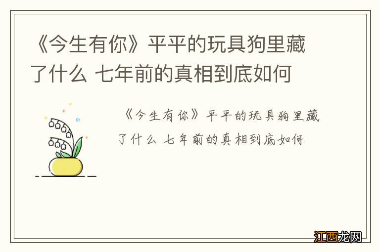 《今生有你》平平的玩具狗里藏了什么 七年前的真相到底如何