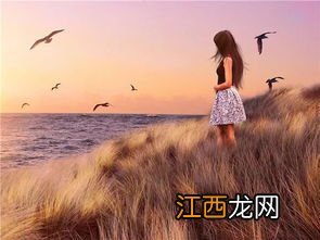 关于阳光的排比句