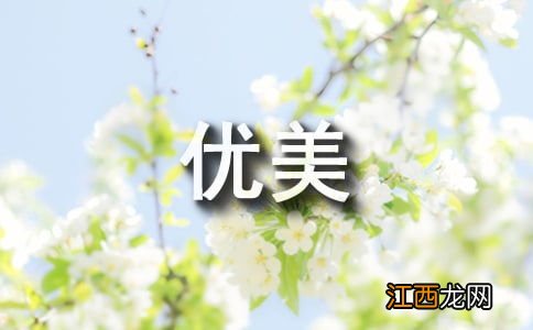 关于阳光的排比句