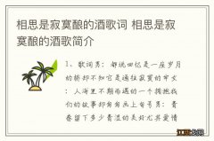 相思是寂寞酿的酒歌词 相思是寂寞酿的酒歌简介