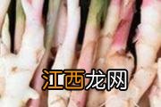 山核桃的功效与作用 山核桃的食用方式和注意事项